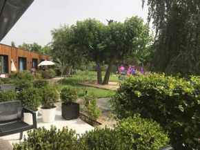 Garden Apartments